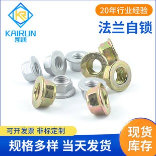 法兰自锁图1