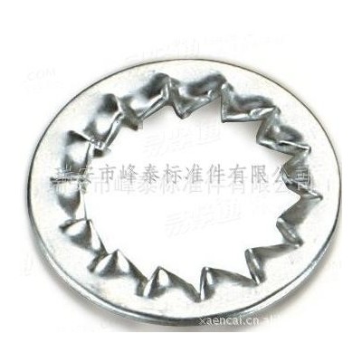 内锯齿锁紧垫圈